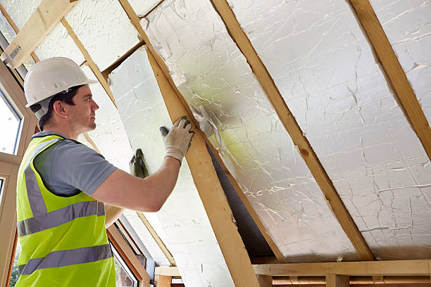 Best Insulation Maintenance and Repair in Mullins, SC